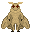 Species portrait